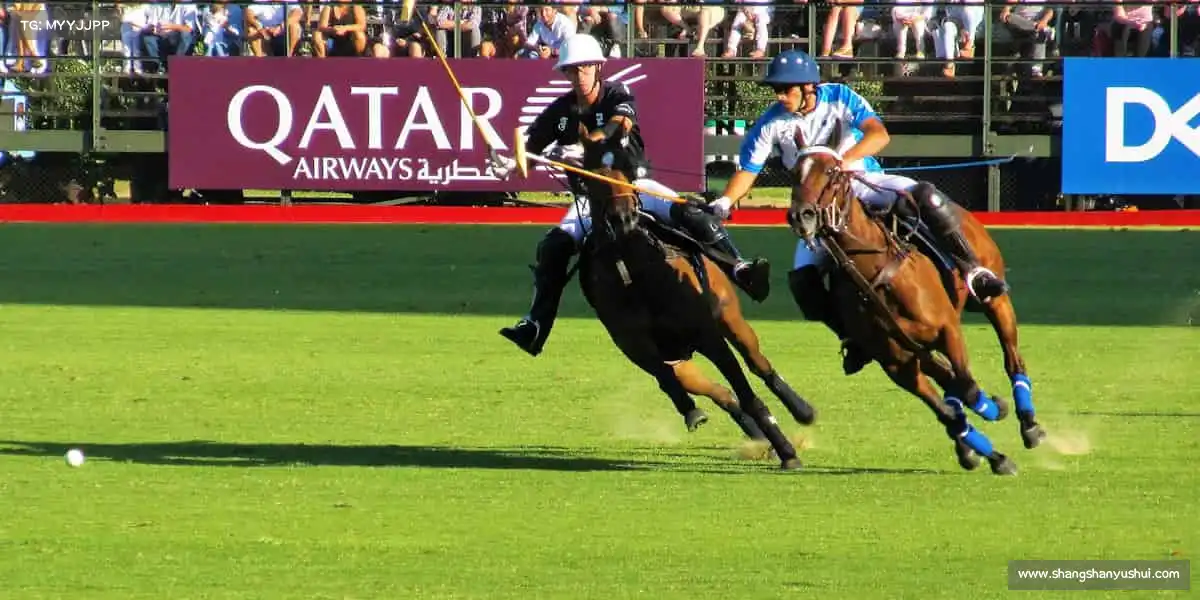 我们的核心竞争力